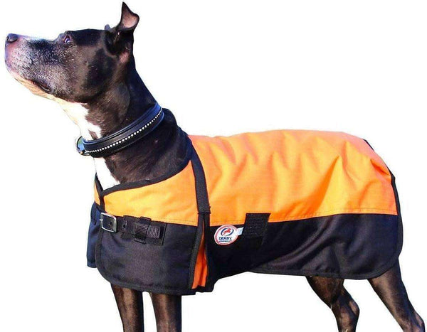 Derby Originals Horse Tough 600D Ripstop Waterproof Winter Dog Coat 150g Medium Weight