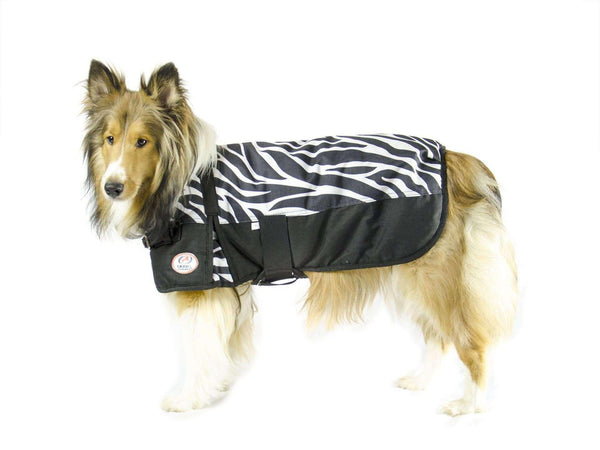 Derby Originals Horse Tough 600D Ripstop Waterproof Winter Dog Coat 150g Medium Weight