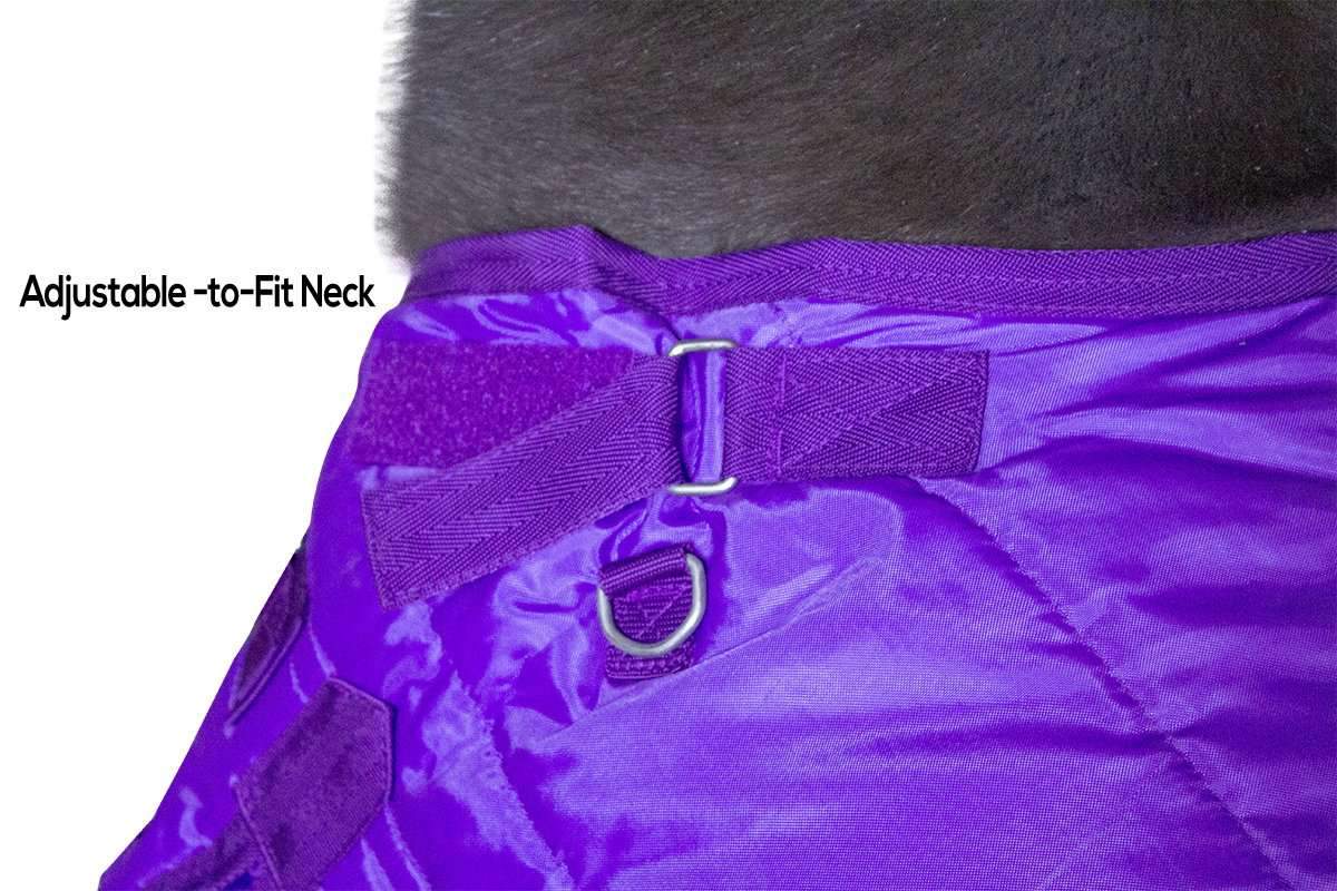Derby Originals Wind Storm West Coast 420D Medium Weight Winter Mini Horse Pony Stable Blanket Purple adjust