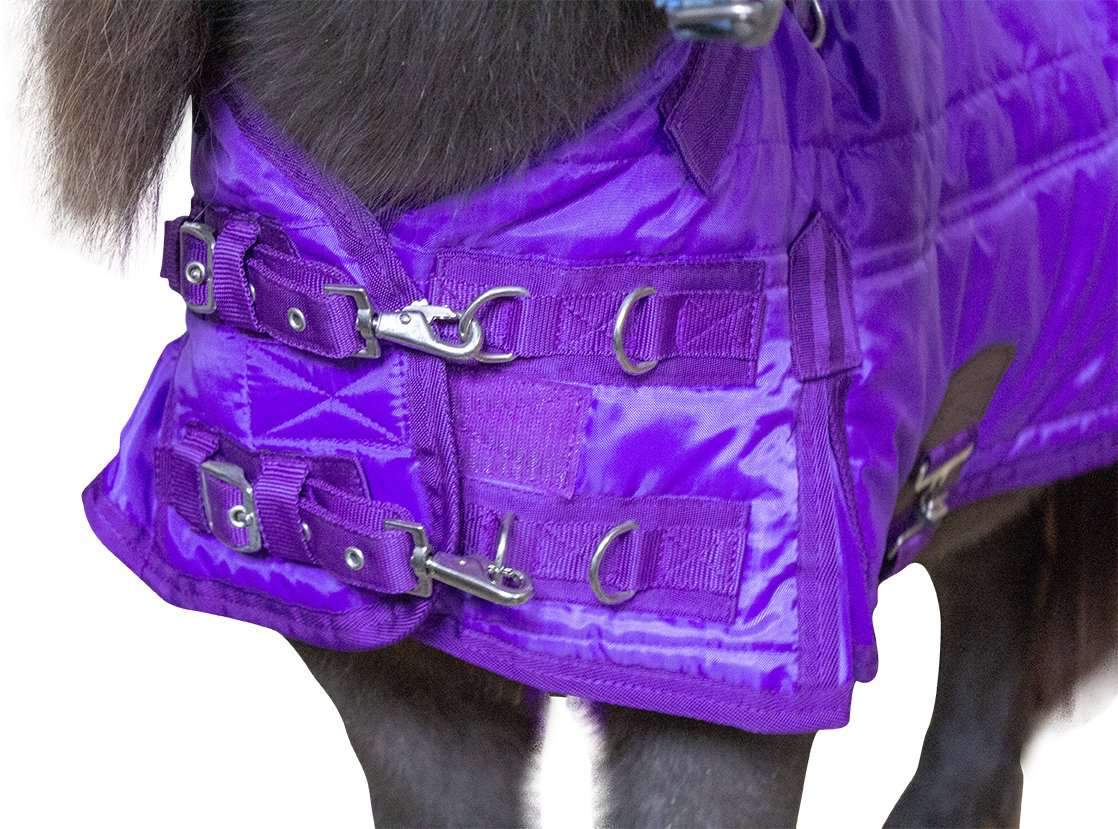 Derby Originals Wind Storm West Coast 420D Medium Weight Winter Mini Horse Pony Stable Blanket purple front buckles