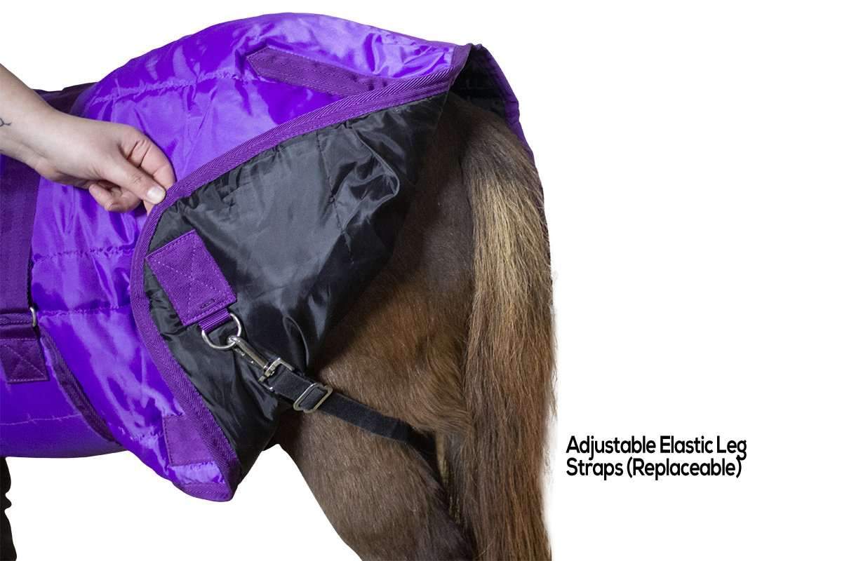 Derby Originals Wind Storm West Coast 420D Medium Weight Winter Mini Horse Pony Stable Blanket  rear legs 