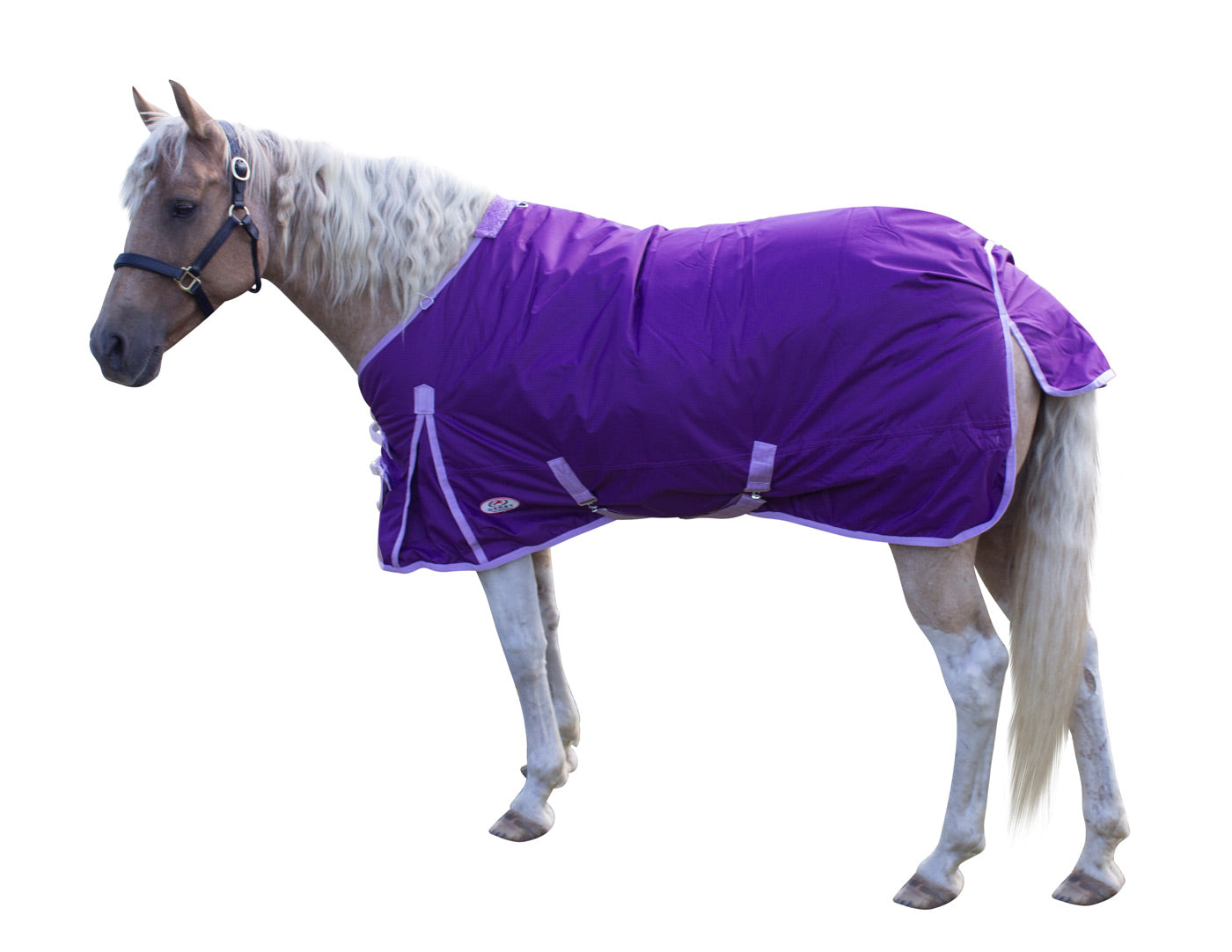 Derby Originals Classic 600D Medium Weight Winter Horse Turnout Blanket 250g Purple main