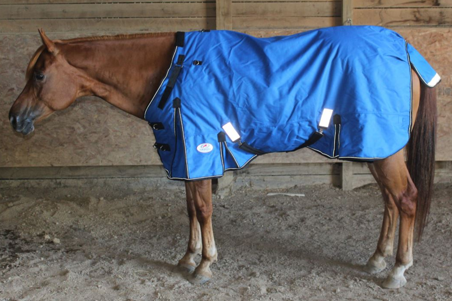 Derby Originals Nordic Tough 1200D Ripstop Waterproof Reflective Winter Horse Turnout Blanket Lifestyle