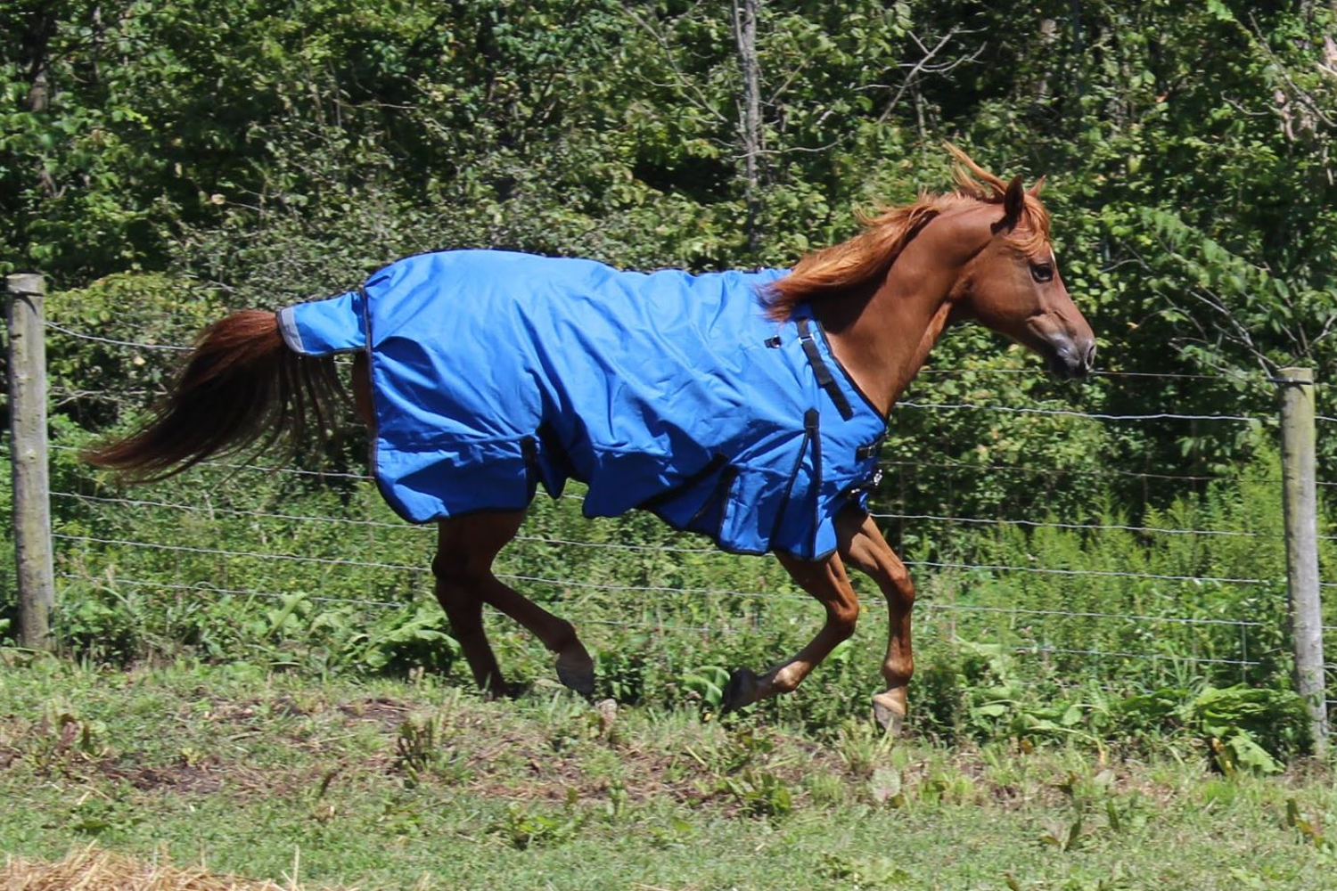 Nordic Tough 1200D Ripstop Waterproof Reflective Winter Horse Turnout Blanket 