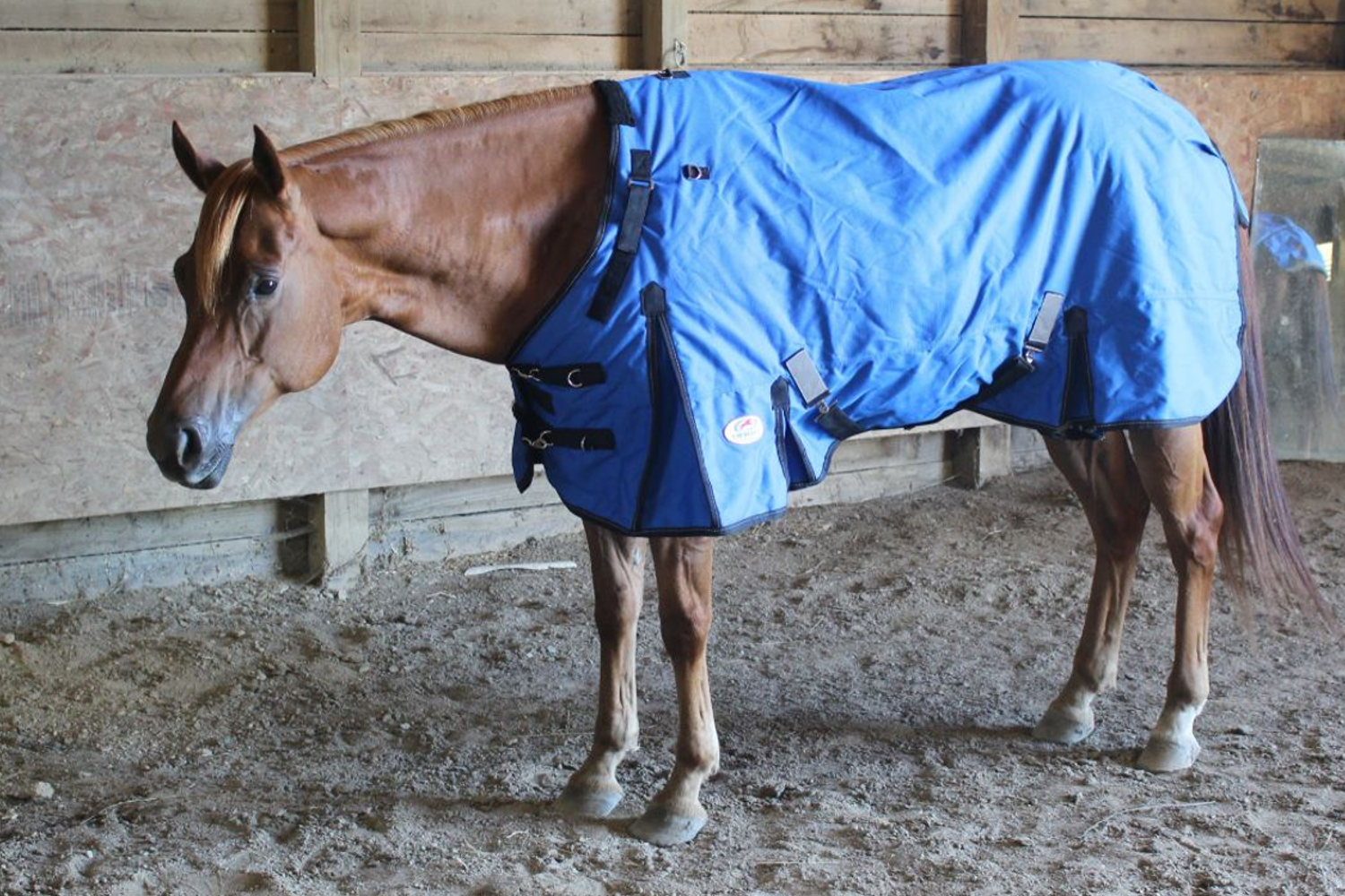 Ripstop Waterproof Reflective Winter Horse Turnout Blanket 