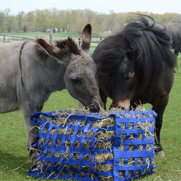Derby Originals Natural Grazer Slow Feeder Horse Hay Bag with Super Tough Bottom and 1 Year Warranty