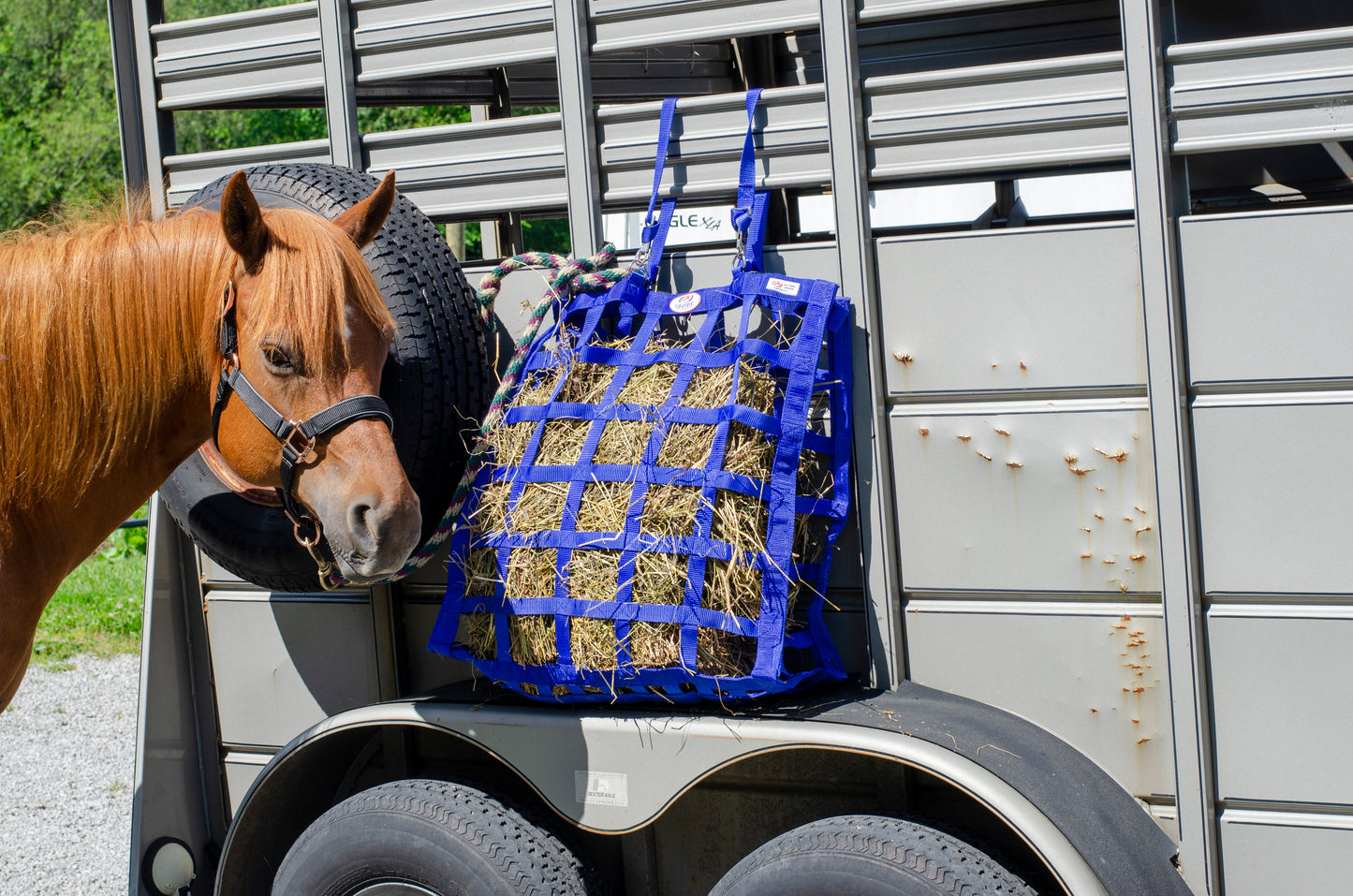 Derby Originals Easy Feeder Horse Hay Bag eating lifestyle