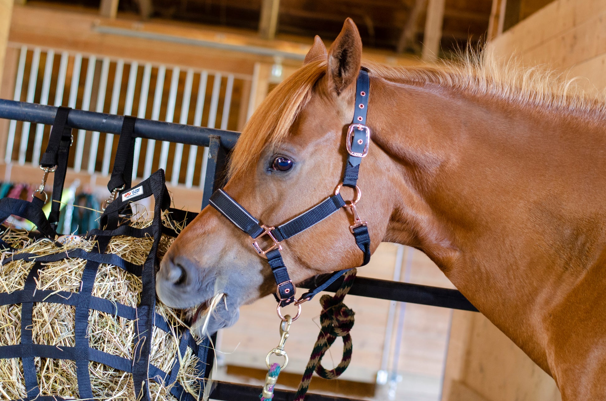Derby Originals Easy Feeder Horse Hay Bag with Super Tough Bottom 