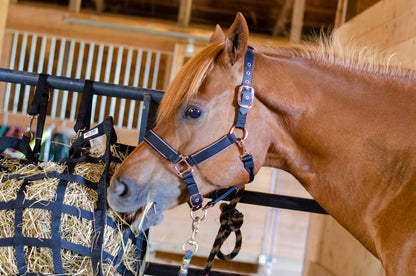 Derby Originals Easy Feeder Horse Hay Bag with Super Tough Bottom 