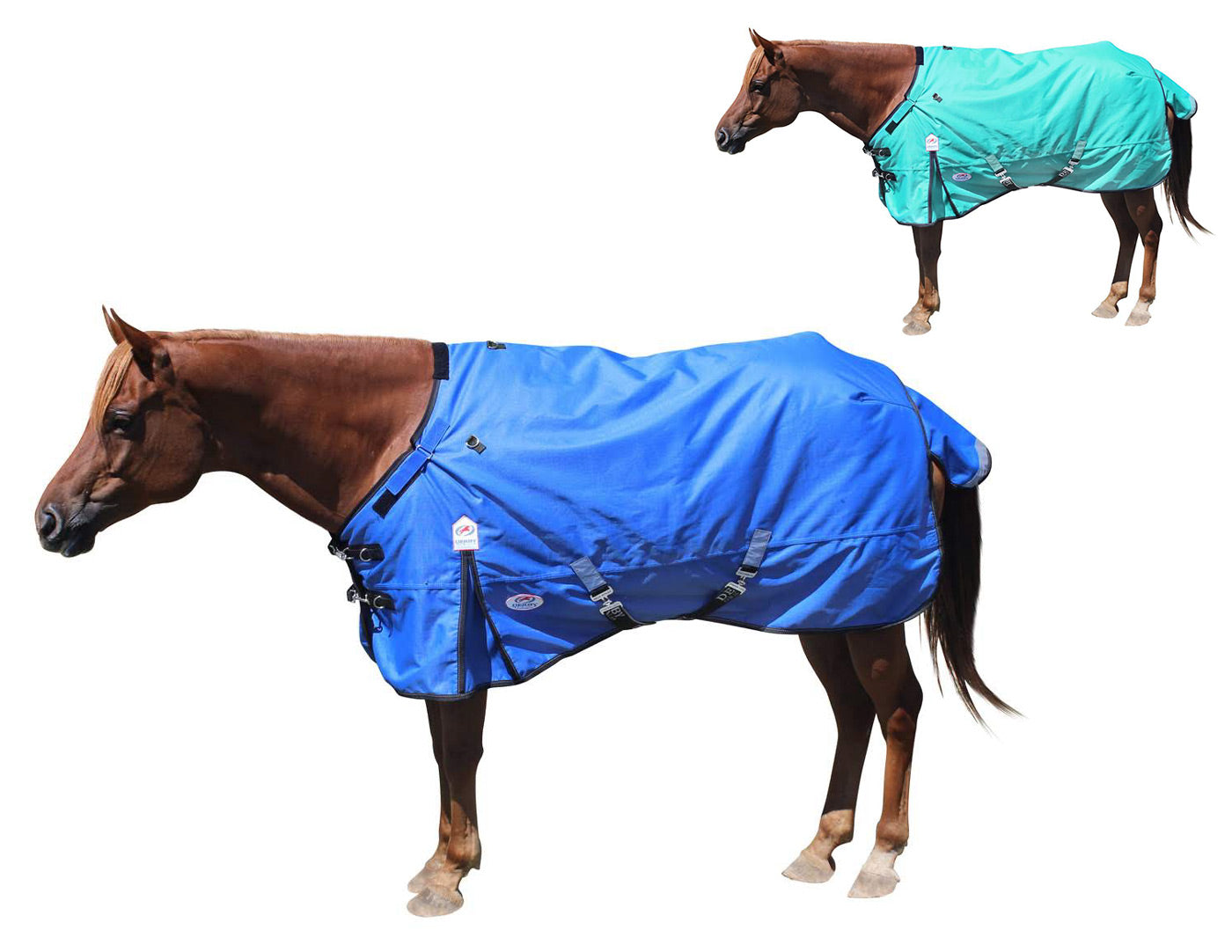 Black 1 Inch Nylon Blanket Replacement Leg Holds - Big Black Horse, LLC